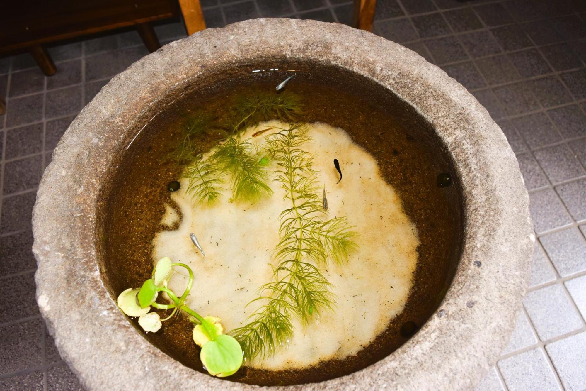 Atagoya Villa Takayama  Eksteriør billede